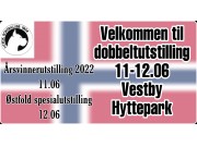 Velkommen til dobbeltutstilling 11.-12. juni  2022 på Vestby Hyttepark  