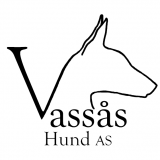 Vassås hund as