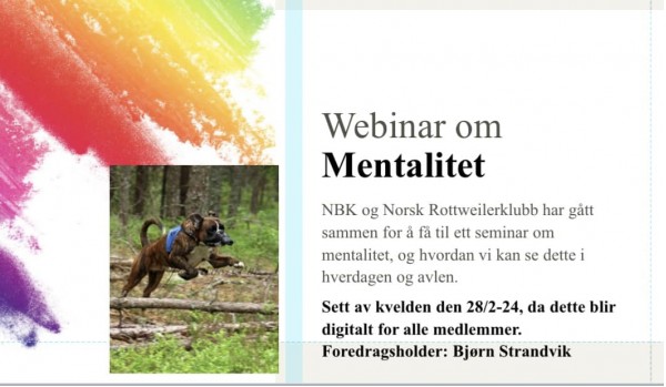 webinar